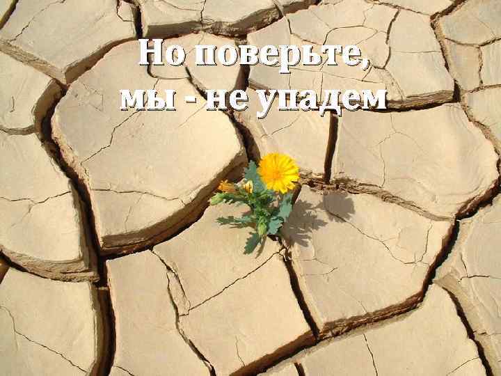 Но поверьте, мы - не упадём! • Но поверьте, мы –не упадем 