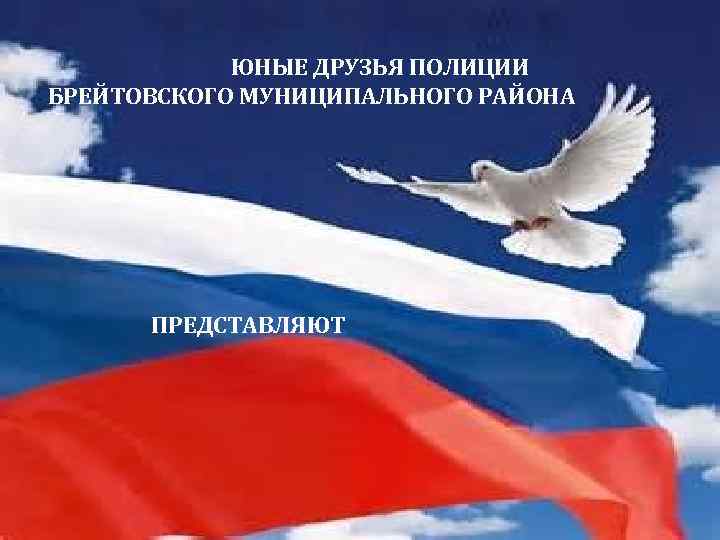 ЮНЫЕ ДРУЗЬЯ ПОЛИЦИИ БРЕЙТОВСКОГО МУНИЦИПАЛЬНОГО РАЙОНА ПРЕДСТАВЛЯЮТ 