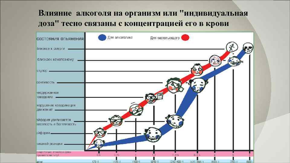 Влияние алкоголя на организм или "индивидуальная доза" тесно связаны с концентрацией его в крови