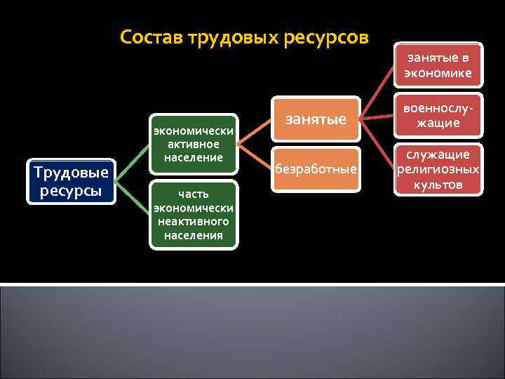 Состав трудовых ресурсов Трудовые ресурсы экономически активное население часть экономически неактивного населения занятые в