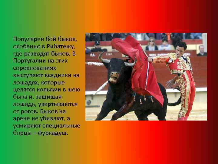 Популярен бой быков, особенно в Рибатежу, где разводят быков. В Португалии на этих соревнованиях