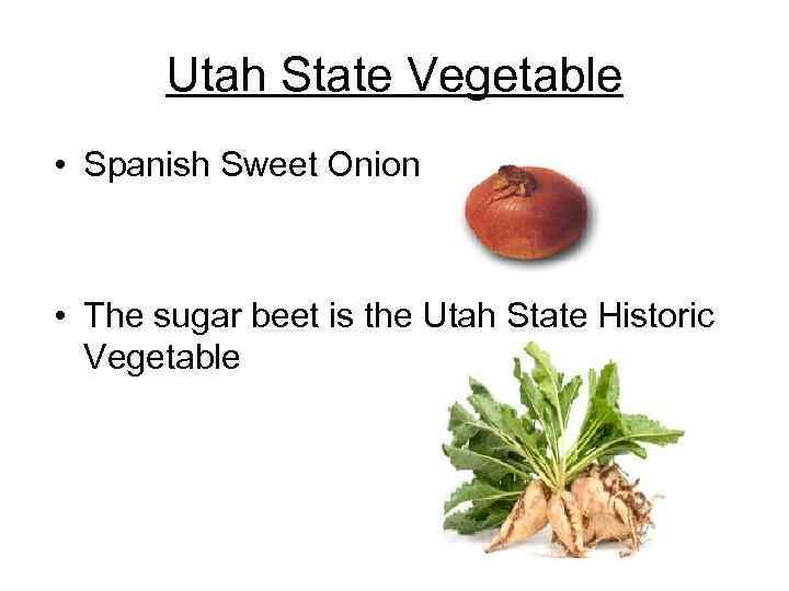 Utah State Vegetable • Spanish Sweet Onion • The sugar beet is the Utah