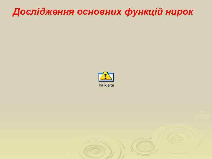 Дослідження основних функцій нирок 
