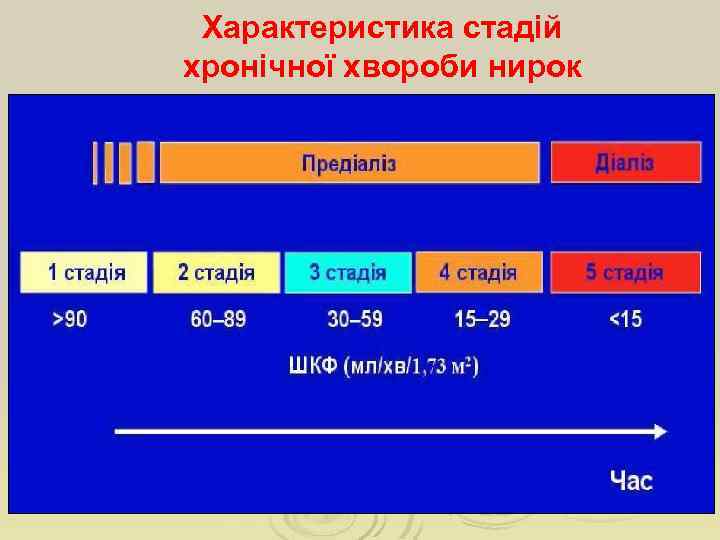 Характеристика стадій хронічної хвороби нирок 