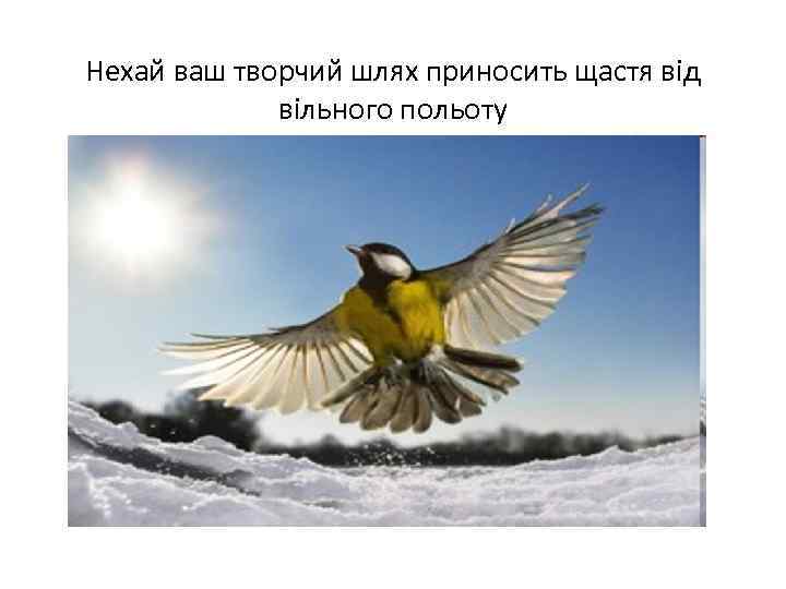 Нехай ваш творчий шлях приносить щастя від вільного польоту 
