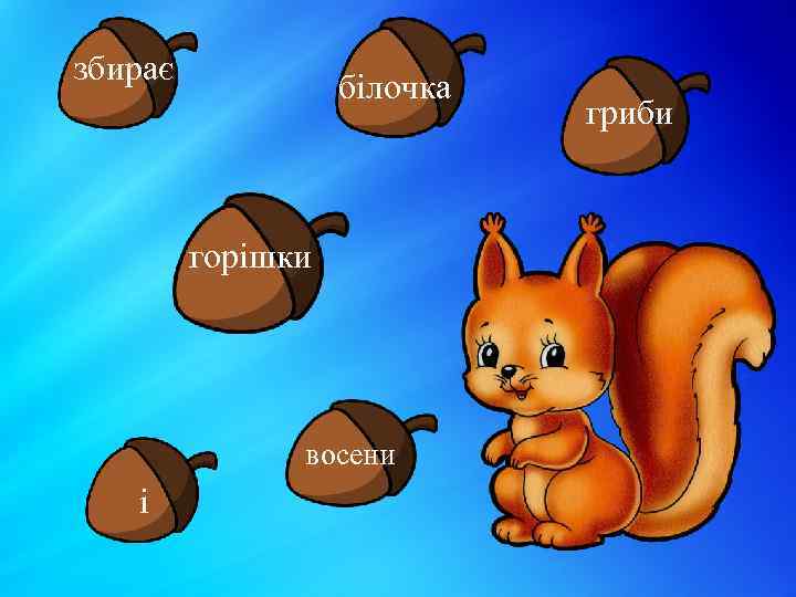 збирає білочка горішки восени і гриби 