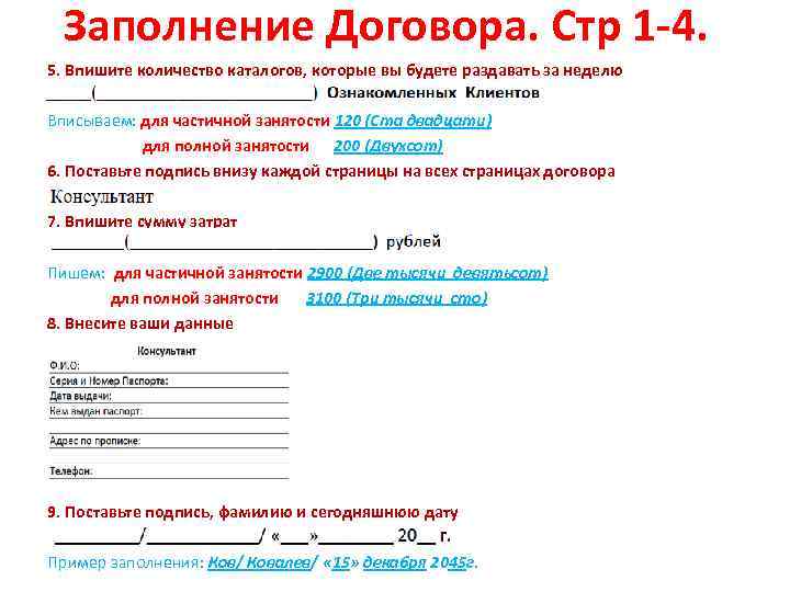 Заполнение Договора. Стр 1 -4. 5. Впишите количество каталогов, которые вы будете раздавать за