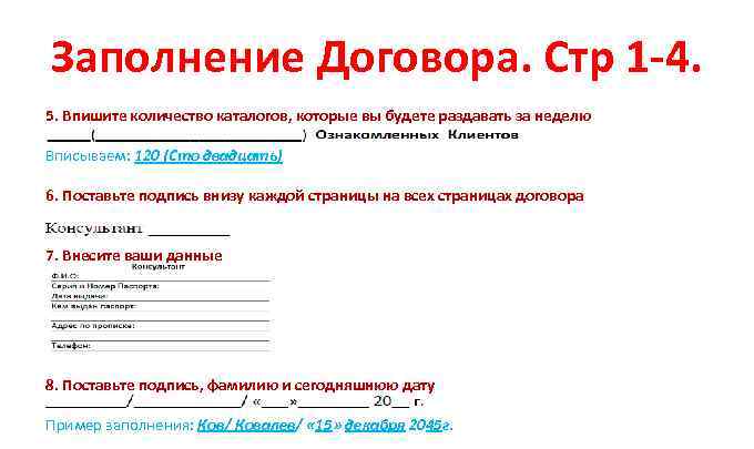 Заполнение Договора. Стр 1 -4. 5. Впишите количество каталогов, которые вы будете раздавать за