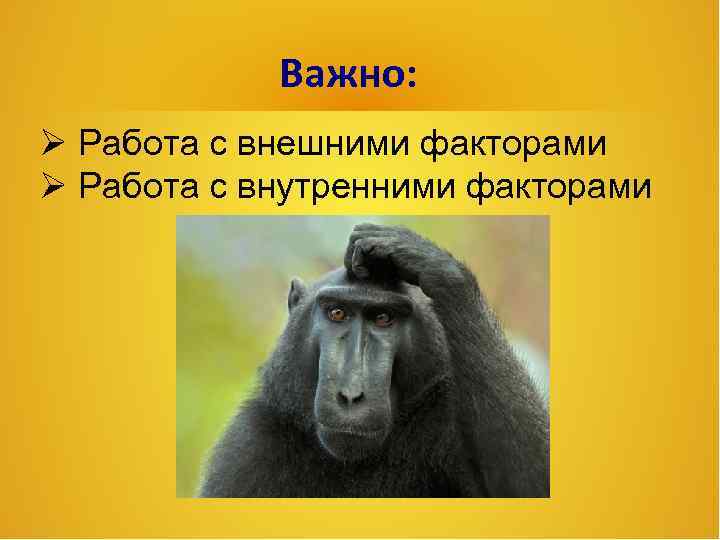 Важно: Работа с внешними факторами Работа с внутренними факторами 