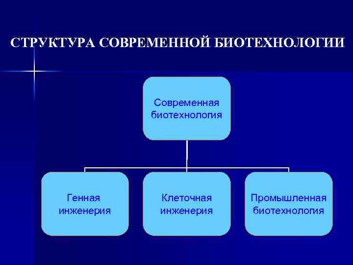 Проект на тему биотехнология и генная инженерия технологии 21 века