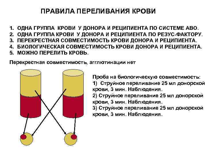 ПРАВИЛА ПЕРЕЛИВАНИЯ КРОВИ 1. 2. 3. 4. 5. ОДНА ГРУППА КРОВИ У ДОНОРА И