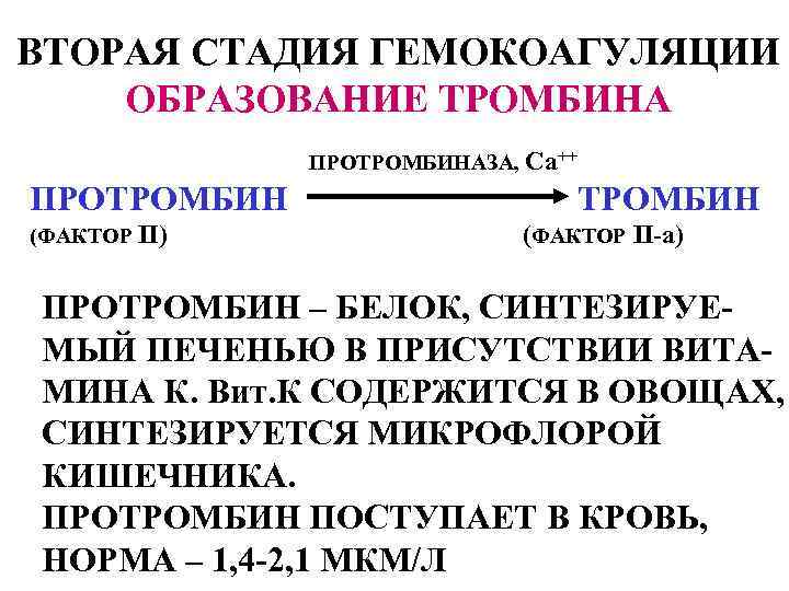 ВТОРАЯ СТАДИЯ ГЕМОКОАГУЛЯЦИИ ОБРАЗОВАНИЕ ТРОМБИНА ПРОТРОМБИНАЗА, Са++ ПРОТРОМБИН (ФАКТОР II) ТРОМБИН (ФАКТОР II-а) ПРОТРОМБИН