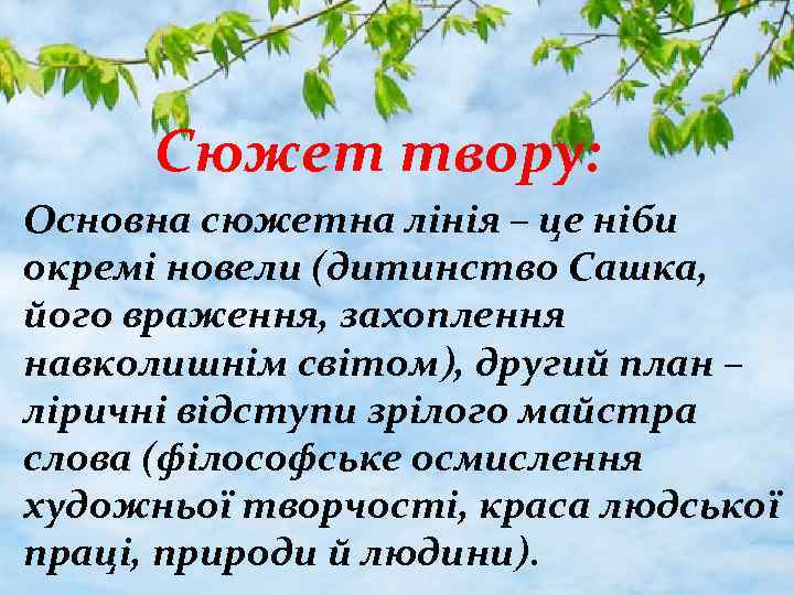 Сюжет твору: Основна сюжетна лінія – це ніби окремі новели (дитинство Сашка, його враження,