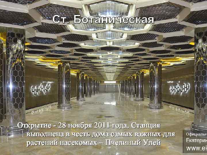 Ст. Ботаническая Открытие - 28 ноября 2011 года. Станция выполнена в честь дома самых