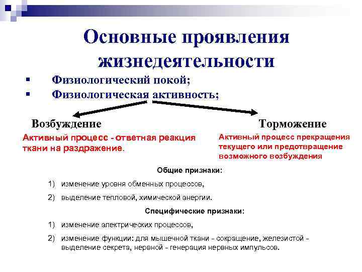 Основные проявления жизнедеятельности § § Физиологический покой; Физиологическая активность; Возбуждение Торможение Активный процесс -