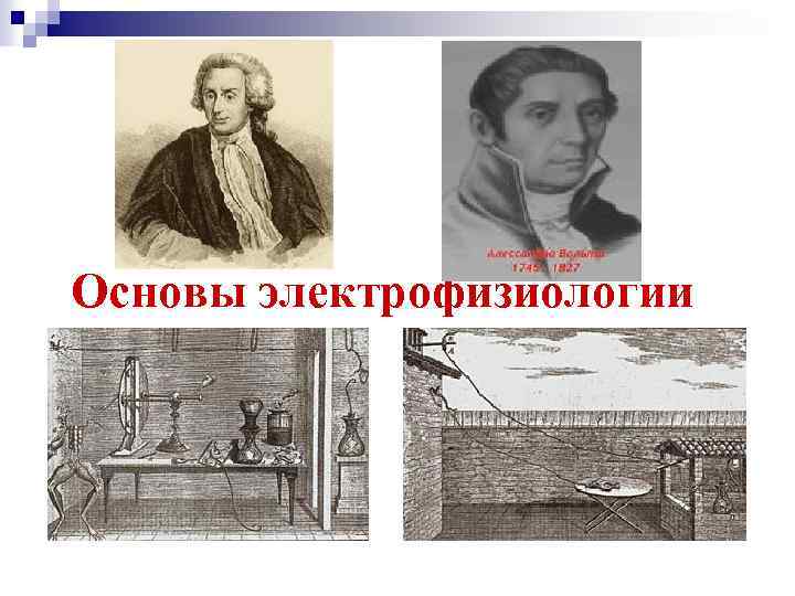 Основы электрофизиологии 