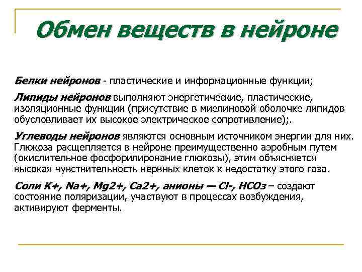 Метаболизм нейронов. Обменные процессы нервных клеток. Белковый обмен в нейронах. Особенности метаболизма нейрона его функции.