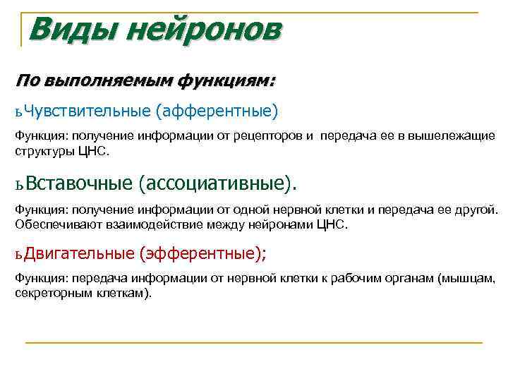 Виды нейронов По выполняемым функциям: ь Чувствительные (афферентные) Функция: получение информации от рецепторов и