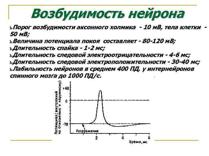 Возбудимость нейрона ь Порог возбудимости аксонного холмика - 10 м. В, тела клетки 50