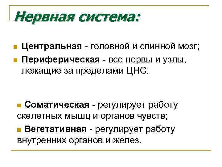 Нервная система: n n Центральная - головной и спинной мозг; Периферическая - все нервы