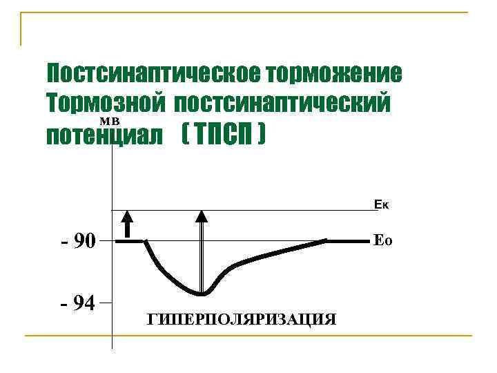 Постсинаптическое торможение схема