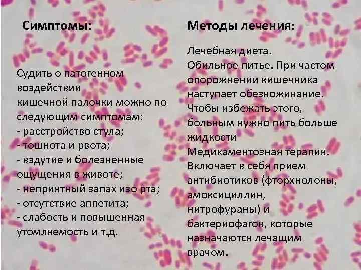 Симптомы: Судить о патогенном воздействии кишечной палочки можно по следующим симптомам: - расстройство стула;