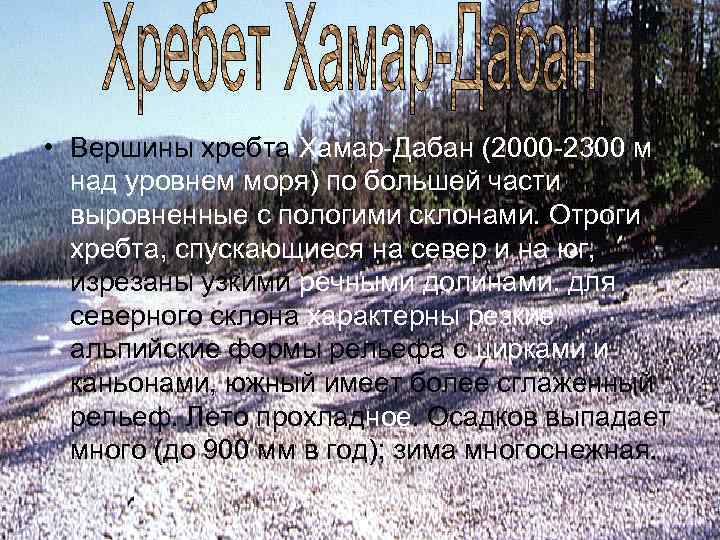  • Вершины хребта Хамар-Дабан (2000 -2300 м над уровнем моря) по большей части