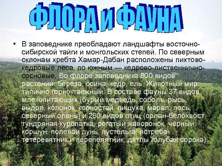  • В заповеднике преобладают ландшафты восточносибирской тайги и монгольских степей. По северным склонам