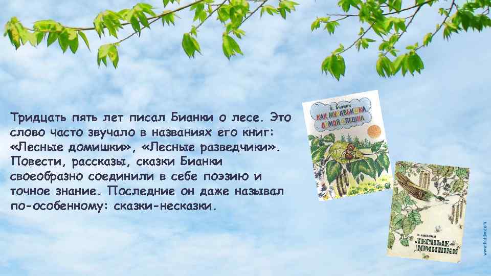 Тридцать пять лет писал Бианки о лесе. Это слово часто звучало в названиях его