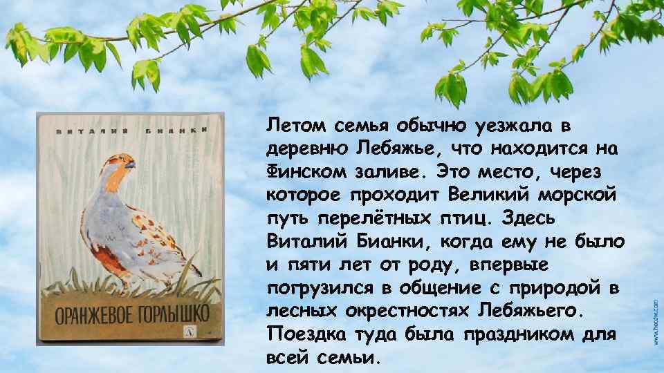 Летом семья обычно уезжала в деревню Лебяжье, что находится на Финском заливе. Это место,