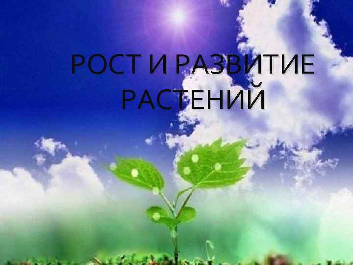 РОСТ И РАЗВИТИЕ РАСТЕНИЙ 