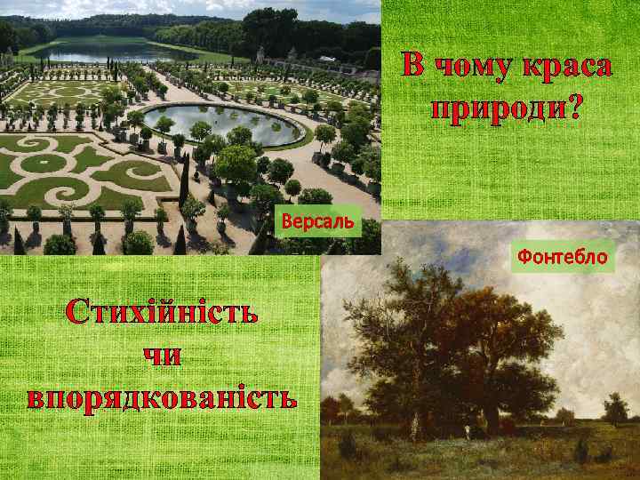 В чому краса природи? Версаль Фонтебло Стихійність чи впорядкованість 