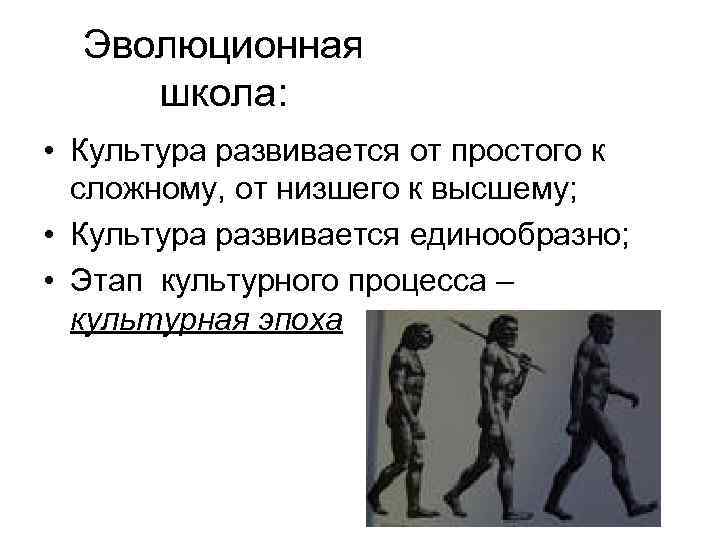 Эволюционная школа: • Культура развивается от простого к сложному, от низшего к высшему; •