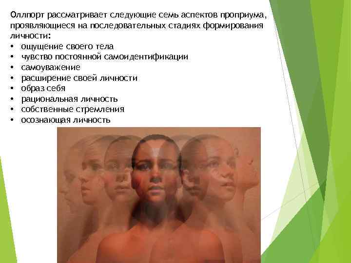 Оллпорт рассматривает следующие семь аспектов проприума, проявляющиеся на последовательных стадиях формирования личности: • ощущение