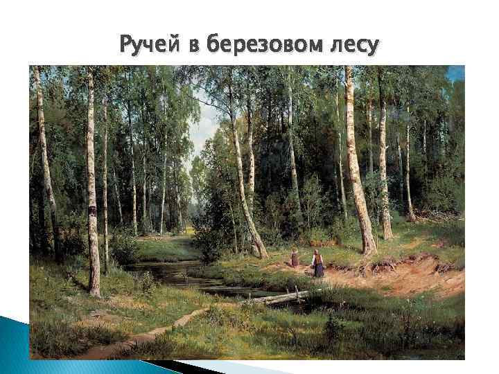 Ручей в березовом лесу 