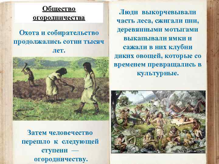 Общество огородничества Охота и собирательство продолжались сотни тысяч лет. Затем человечество перешло к следующей