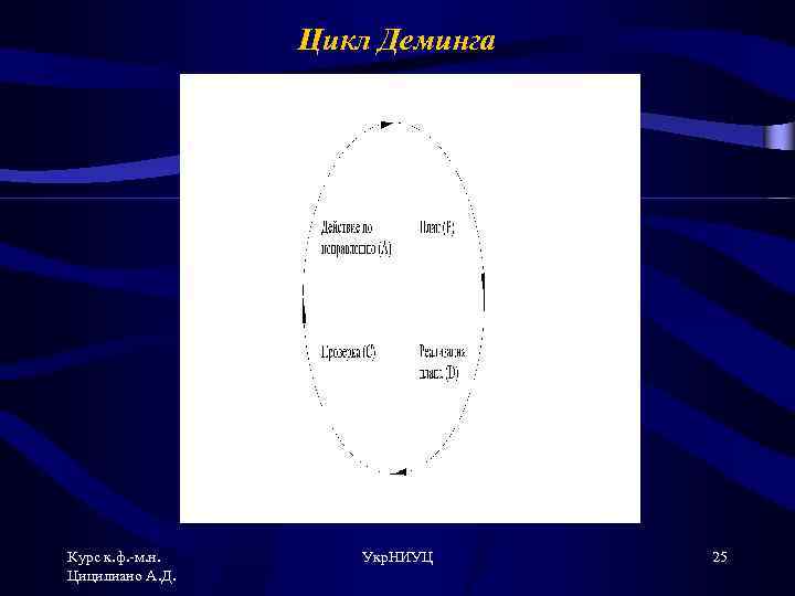 Цикл Деминга Курс к. ф. -м. н. Цицилиано А. Д. Укр. НИУЦ 25 
