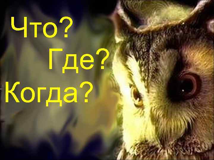 Что? Где? Когда? 