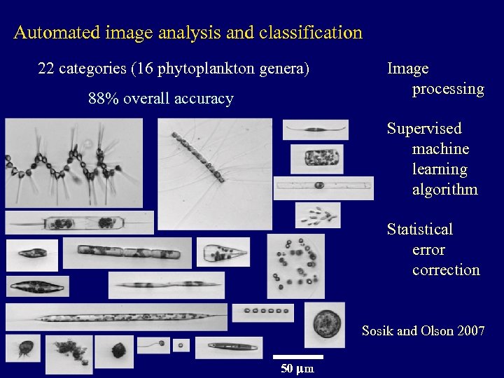 Automated image analysis and classification 22 categories (16 phytoplankton genera) 88% overall accuracy Image