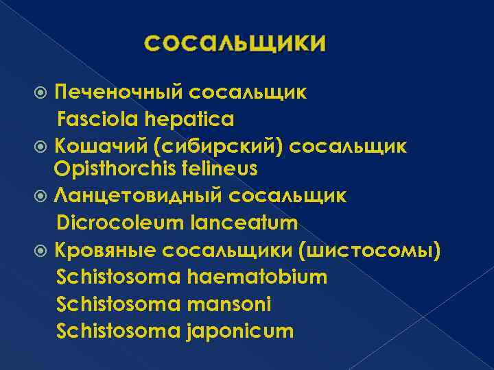 сосальщики Печеночный сосальщик Fasciola hepatica Кошачий (сибирский) сосальщик Opisthorchis felineus Ланцетовидный сосальщик Dicrocoleum lanceatum