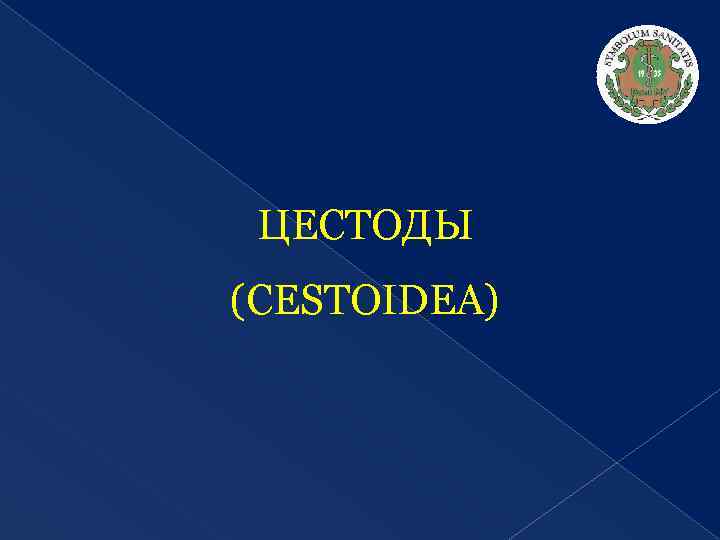 ЦЕСТОДЫ (CESTOIDEA) 