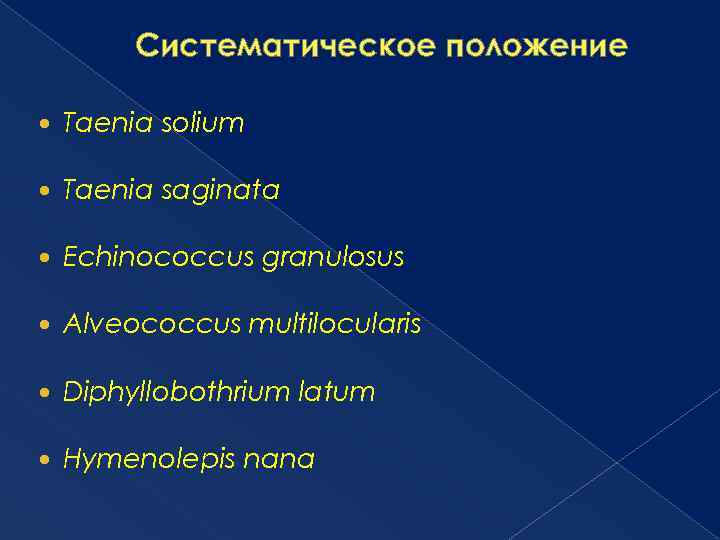 Систематическое положение Taenia solium Taenia saginata Echinococcus granulosus Alveococcus multilocularis Diphyllobothrium latum Hymenolepis nana