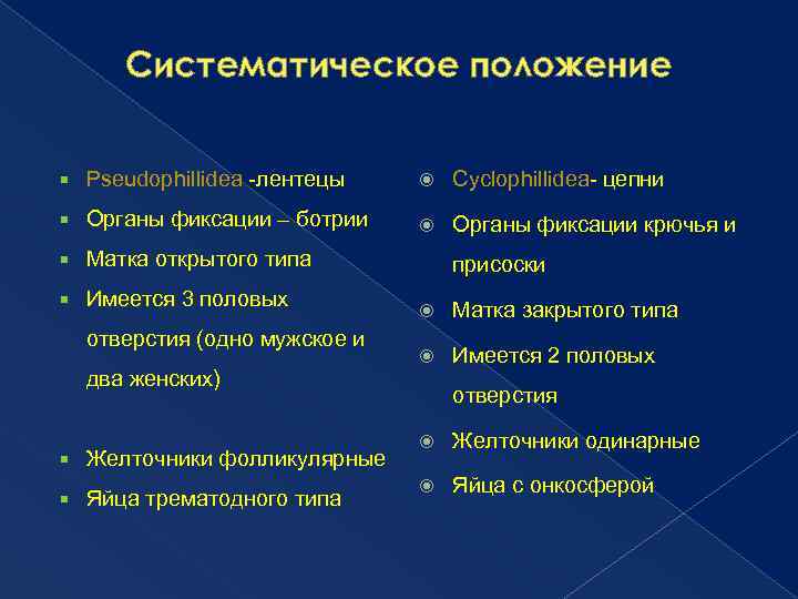 Систематическое положение Pseudophillidea -лентецы Cyclophillidea- цепни Органы фиксации – ботрии Органы фиксации крючья и