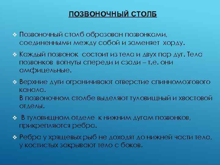 ПОЗВОНОЧНЫЙ СТОЛБ v Позвоночный столб образован позвонками, соединенными между собой и заменяет хорду. v