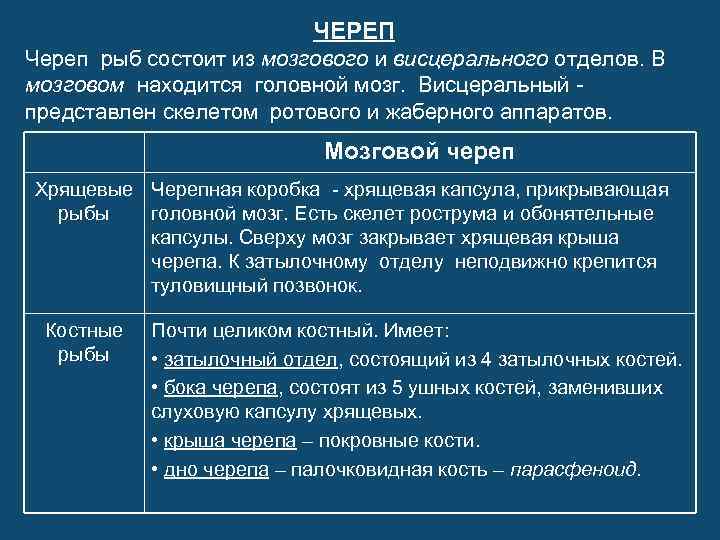 ЧЕРЕП Череп рыб состоит из мозгового и висцерального отделов. В мозговом находится головной мозг.