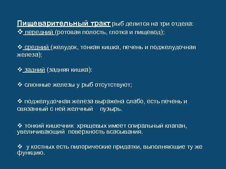 Пищеварительный тракт рыб делится на три отдела: v передний (ротовая полость, глотка и пищевод);