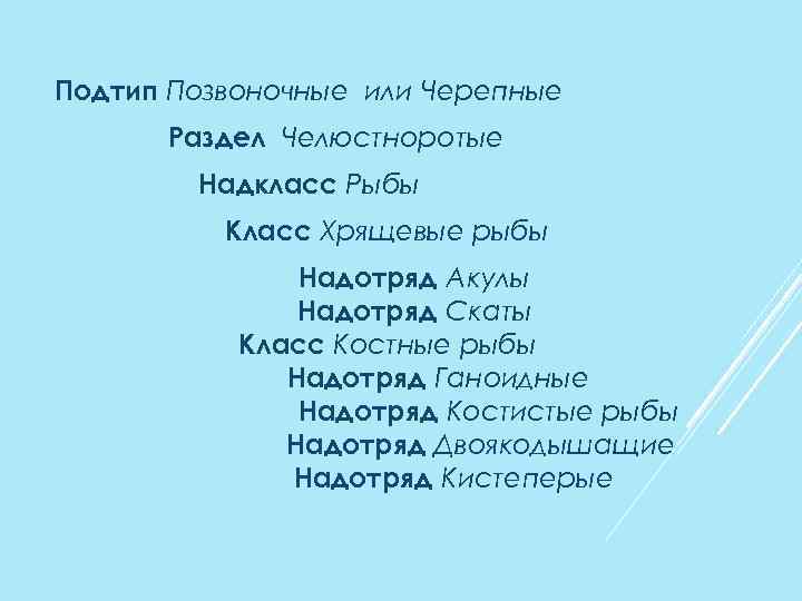 Подтип Позвоночные или Черепные Раздел Челюстноротые Надкласс Рыбы Класс Хрящевые рыбы Надотряд Акулы Надотряд
