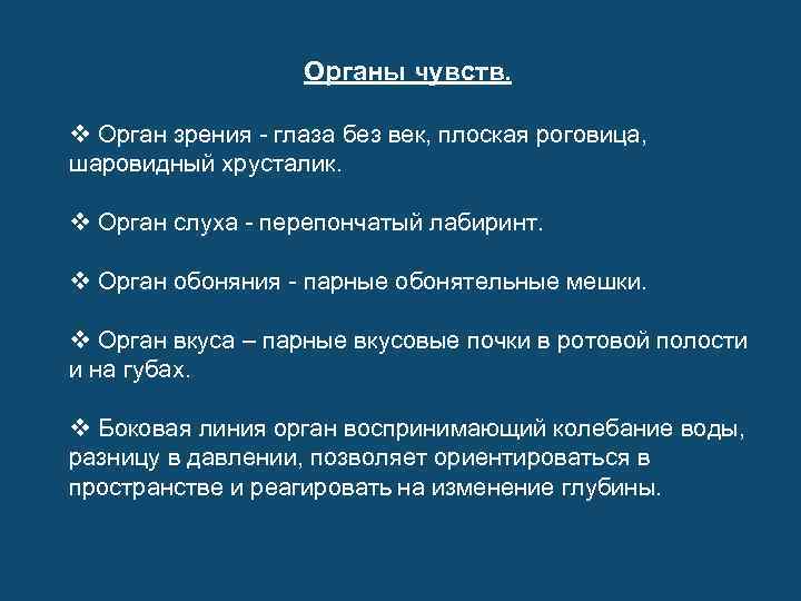 Органы чувств. v Орган зрения - глаза без век, плоская роговица, шаровидный хрусталик. v
