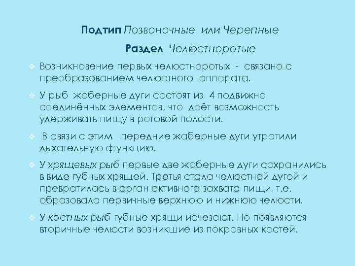 Подтип Позвоночные или Черепные Раздел Челюстноротые v Возникновение первых челюстноротых - связано с преобразованием