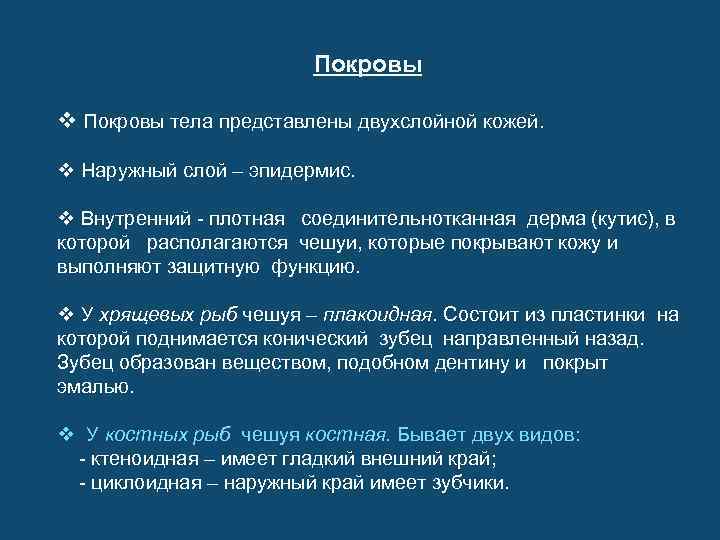 Покровы v Покровы тела представлены двухслойной кожей. v Наружный слой – эпидермис. v Внутренний